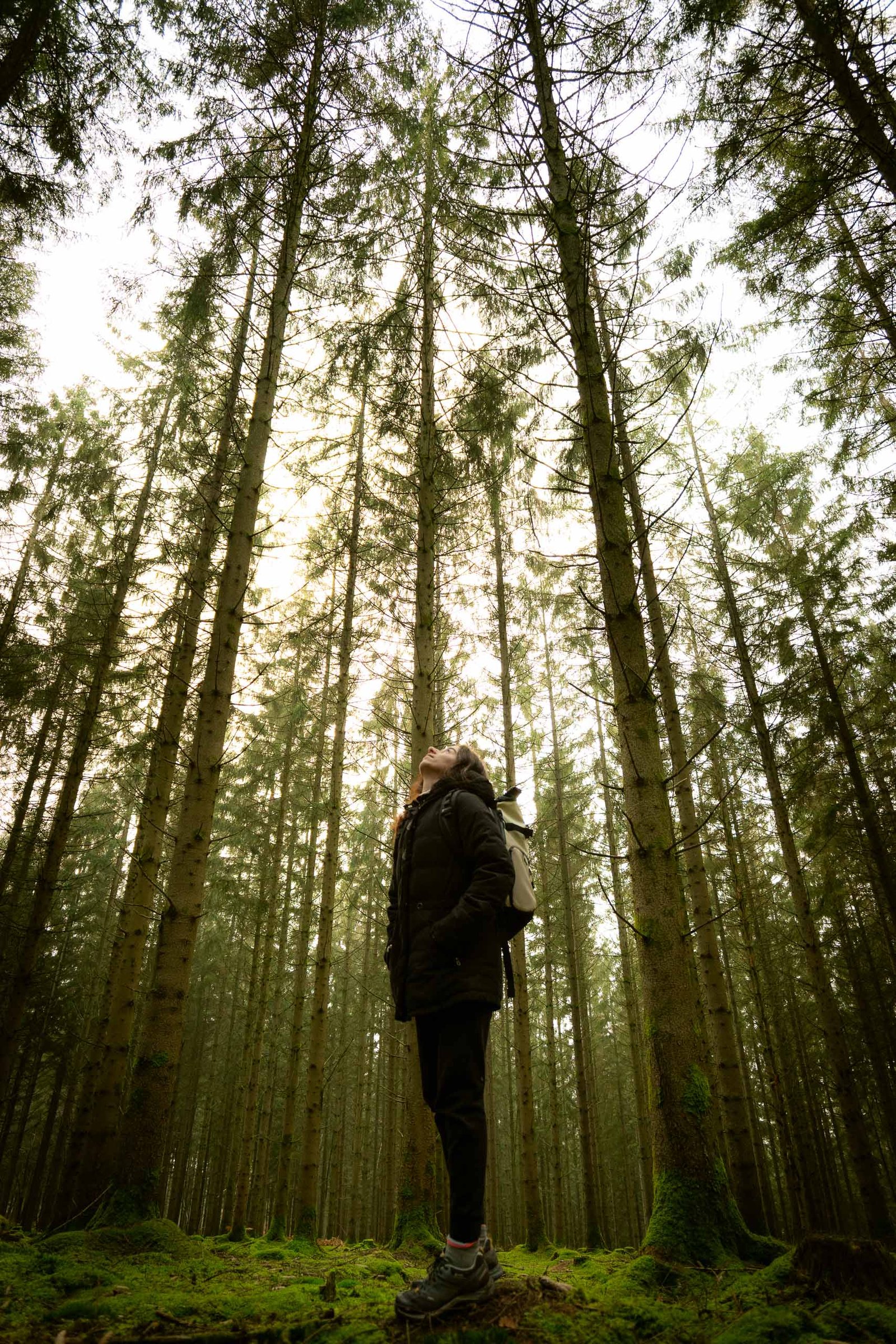forest-outdoors-belgium-hiking-ardennes-javier-pedromingo-06