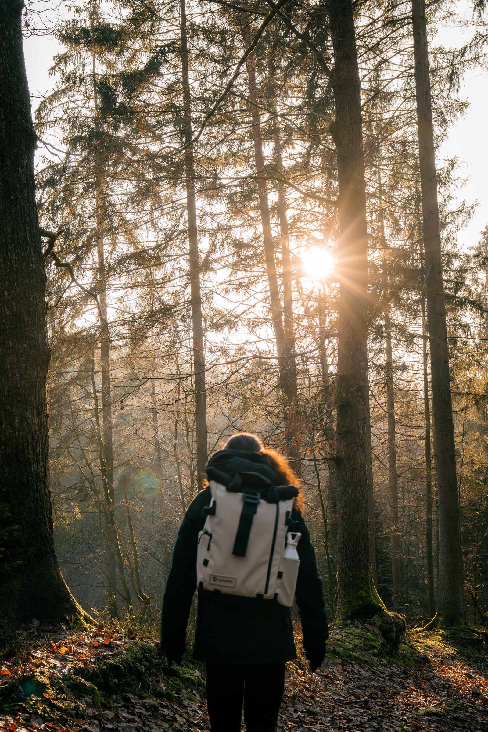 forest-outdoors-belgium-hiking-ardennes-javier-pedromingo-07